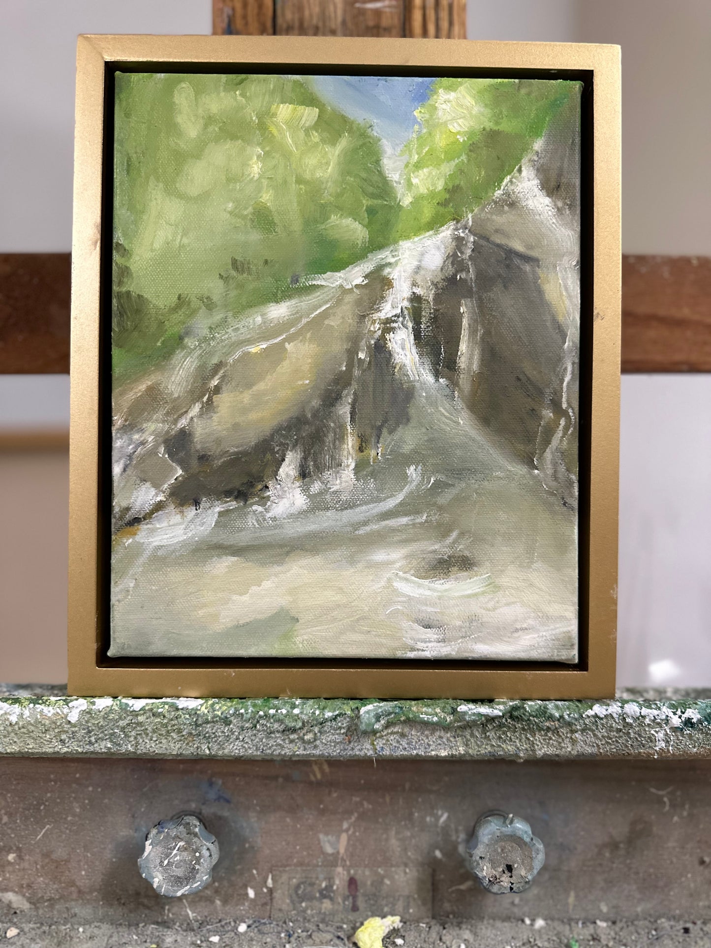 "Surprise Falls"