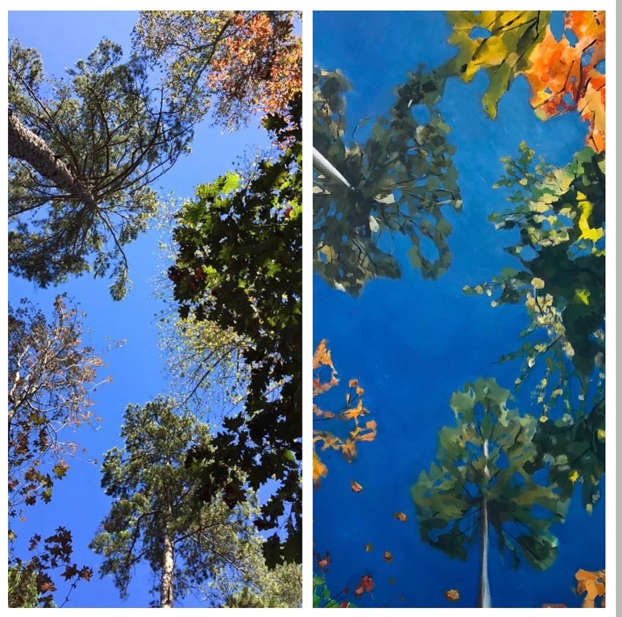 "View from the Hammock"