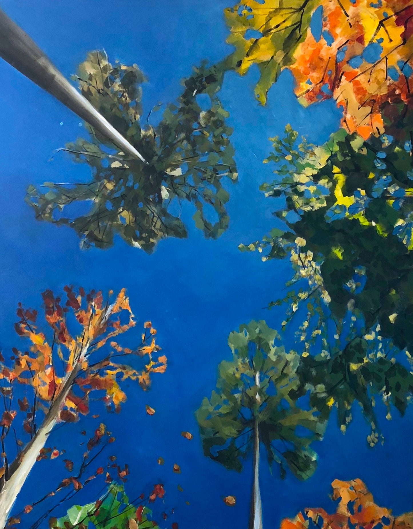 "View from the Hammock"