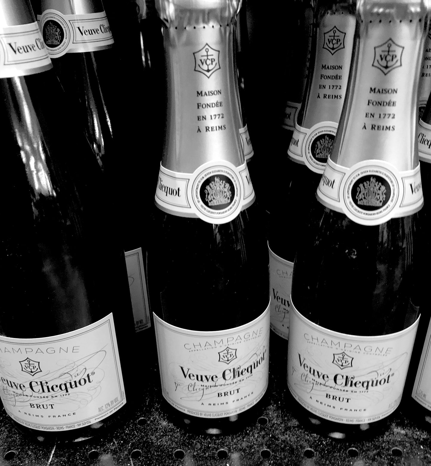 "Champagne Sun"