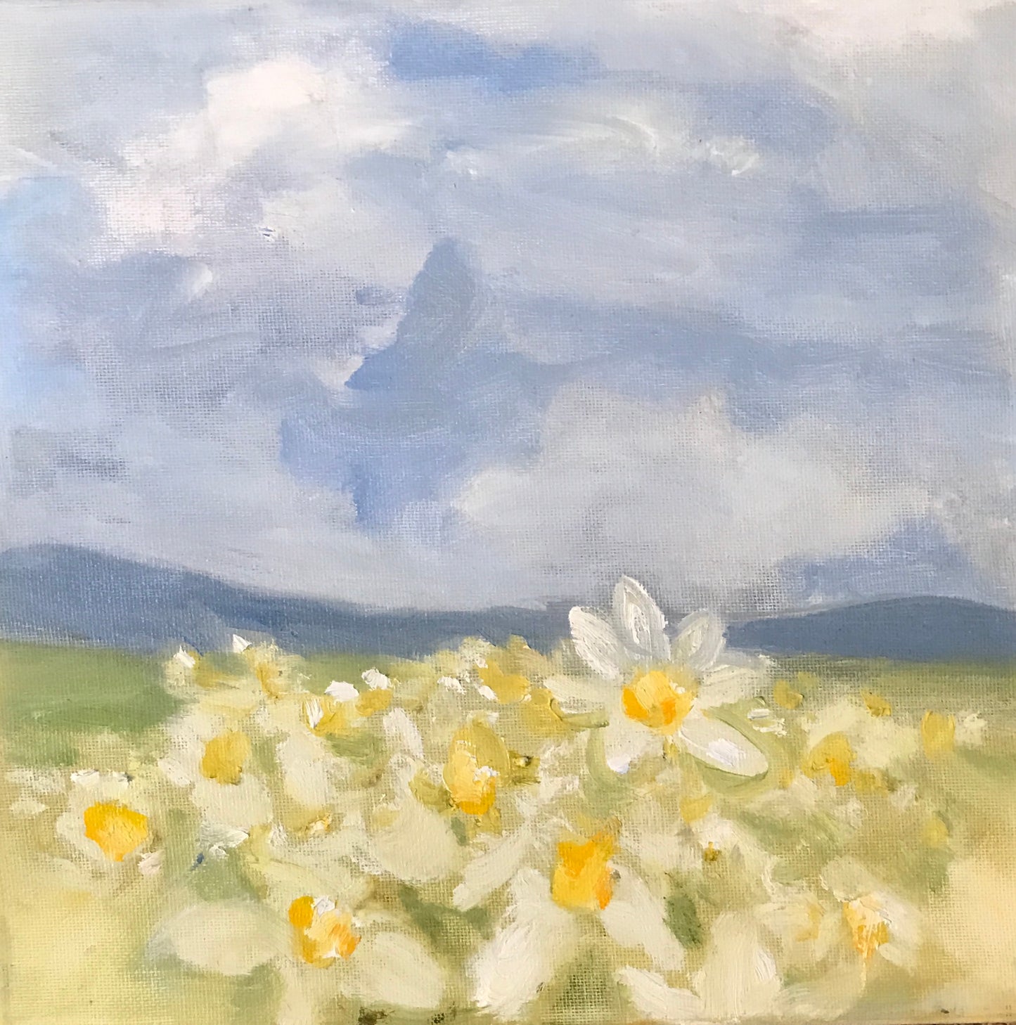 "Mesmerized by Daisies"