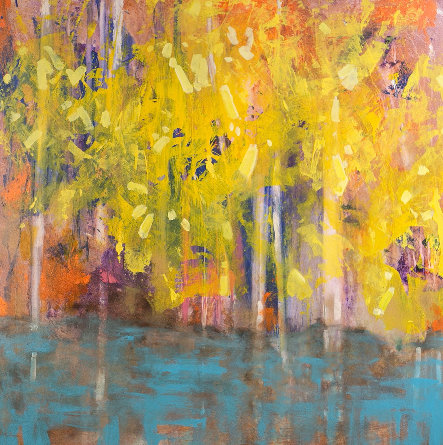 "Forest Lights"