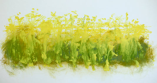 Seeds of Light