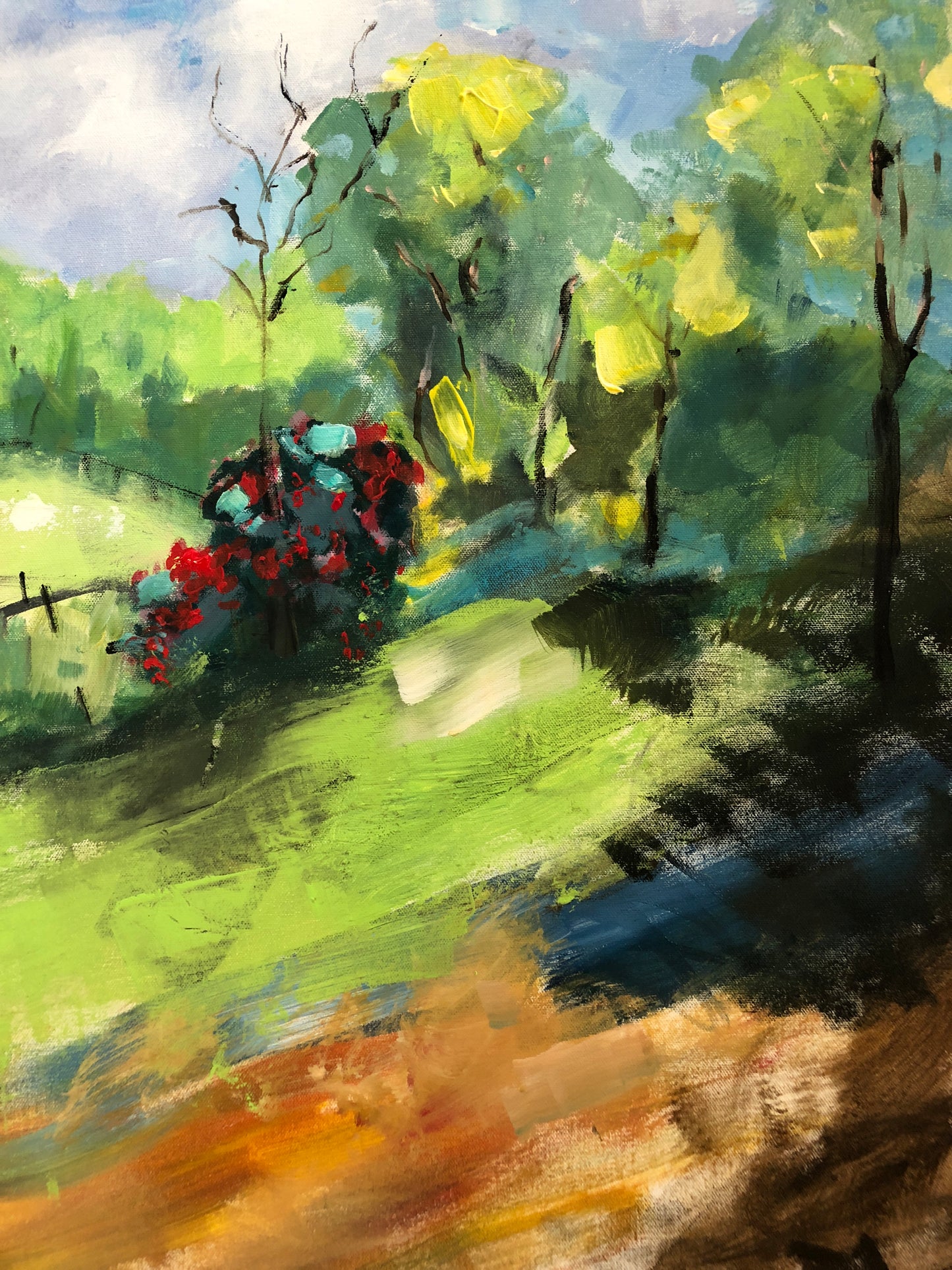 "OZ's View "