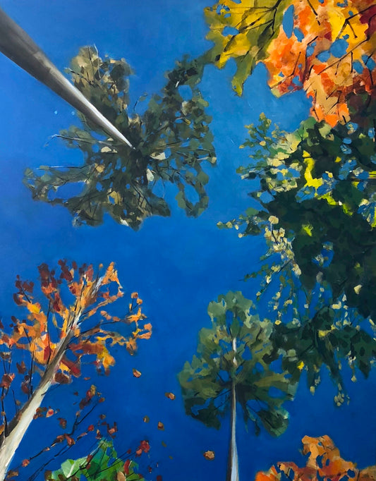 "View from the Hammock"