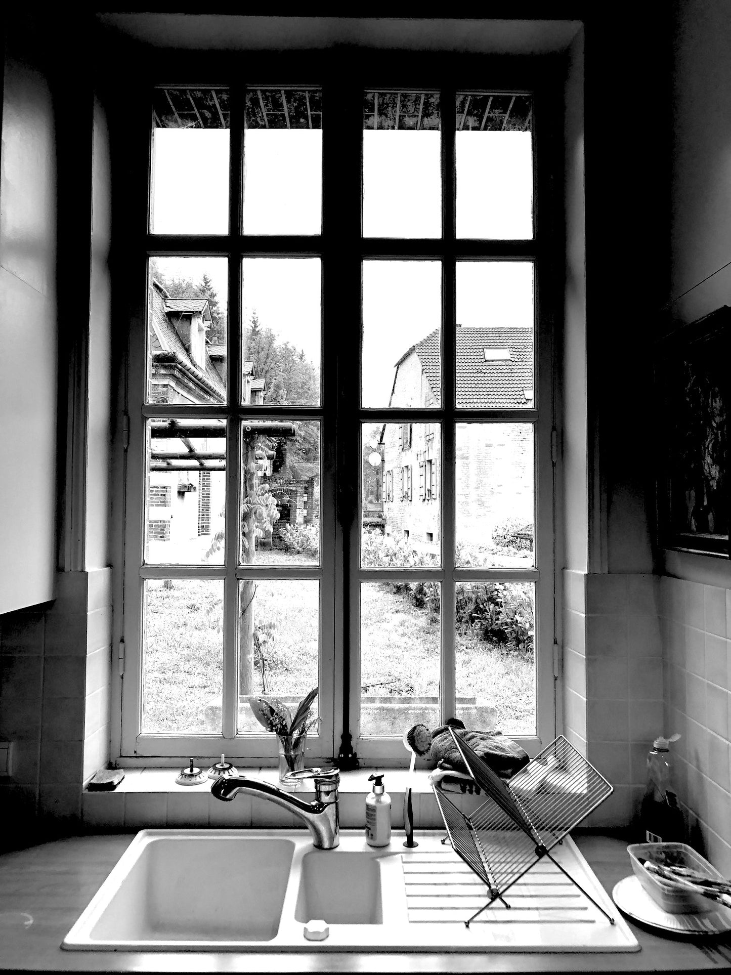 "View from the Kitchen Window"